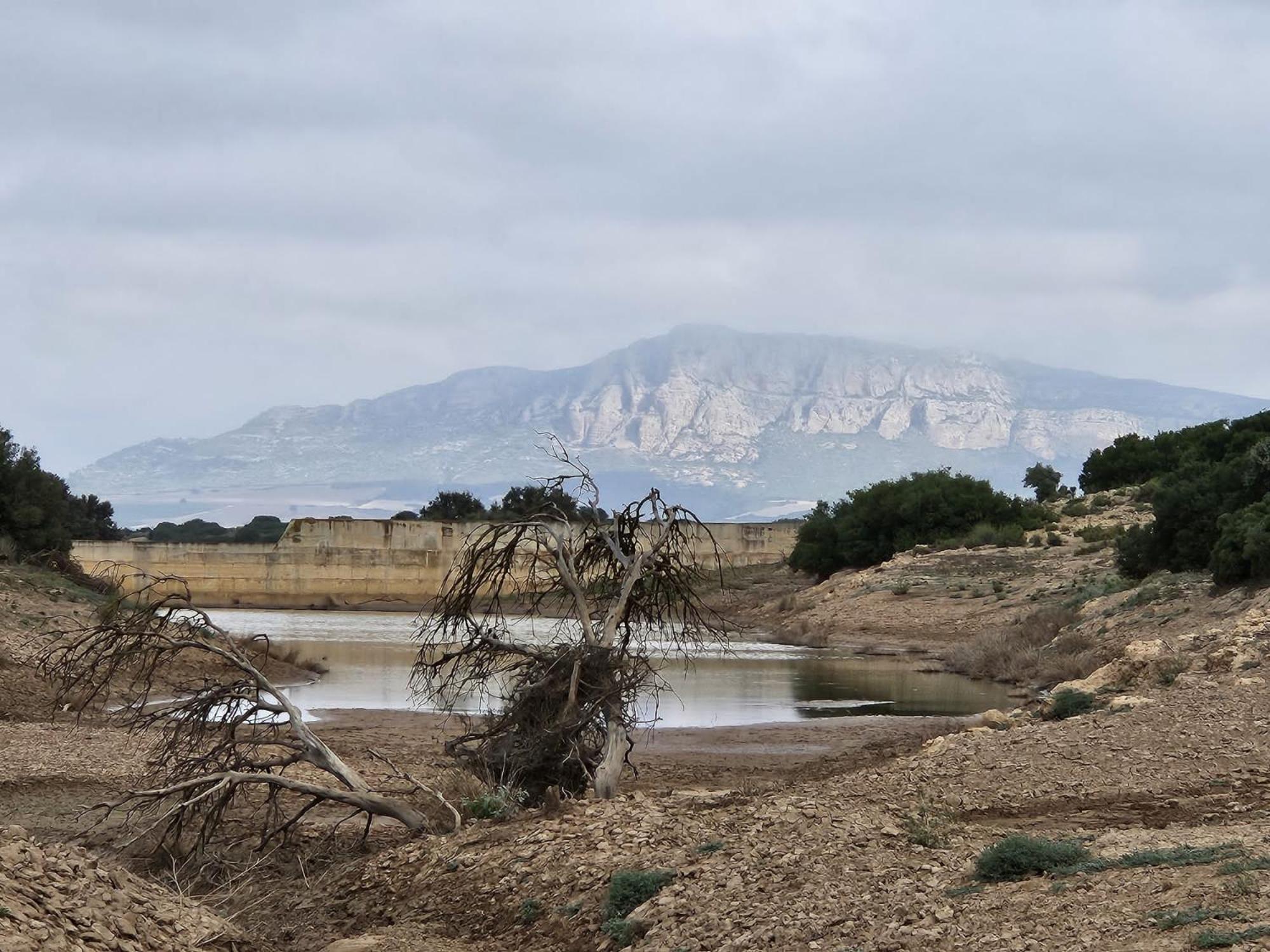 Finca Las Botas Almansa Exteriör bild